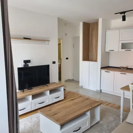 Mijic Apartment Zlatibor